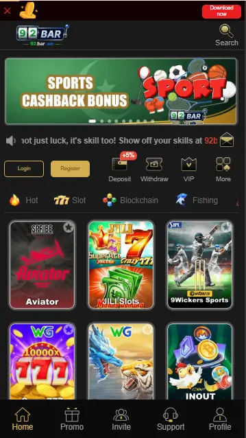 33RS Game