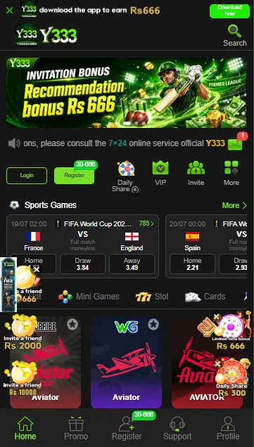 Y333 Game