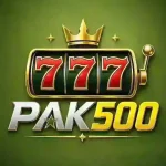 Pak500 Game