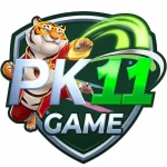 PK11 Game
